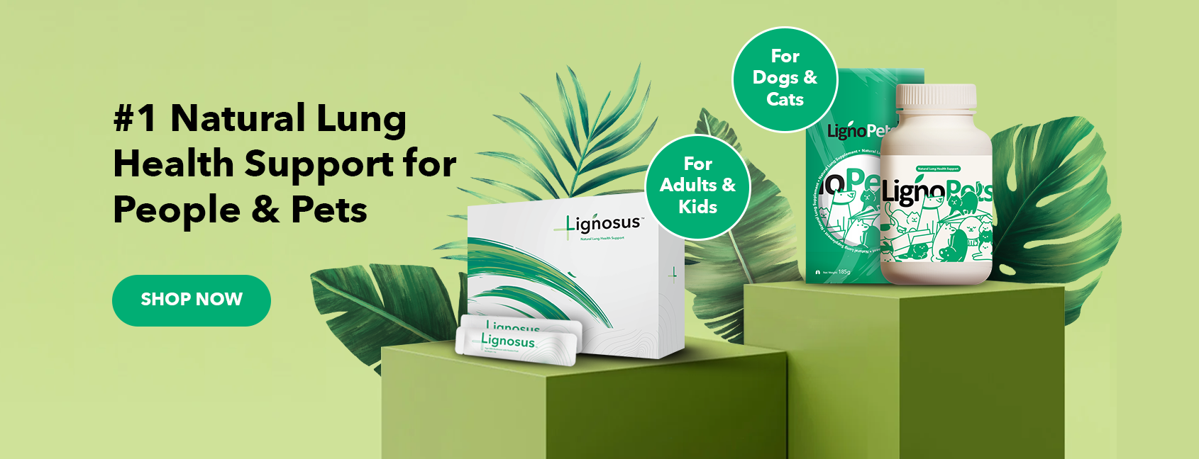 banner-product-presentation